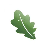 Oak Grove Baptist Church icon