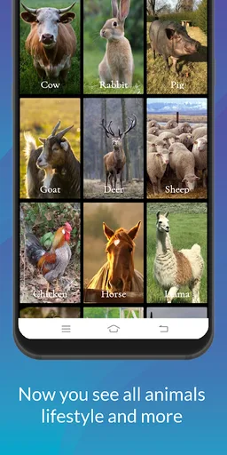 Animals  Information screenshot 7