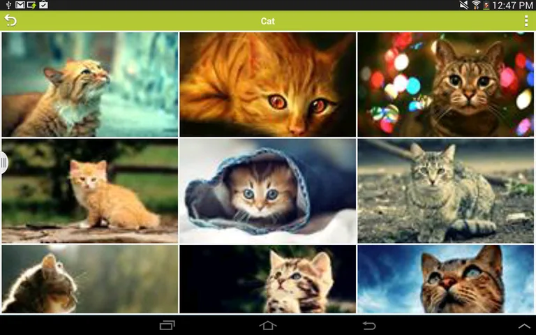 Animals Wallpapers screenshot 1