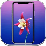 Wallpapers for iphone X,8,7,6,5 icon