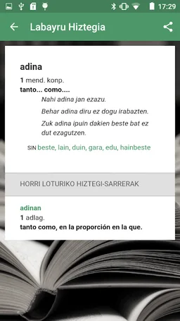 Labayru Hiztegia screenshot 4