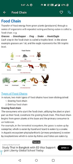 Environmental Ecology screenshot 4