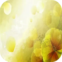 LG Optimus Wallpapers HD icon