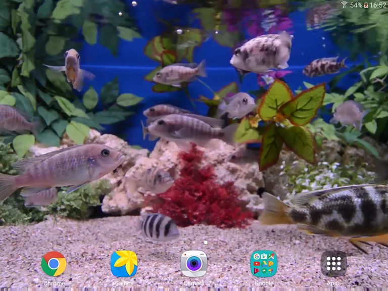 Aquarium 4K Live Wallpaper screenshot 8