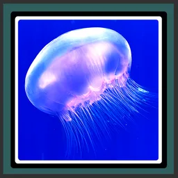 Live Wallpapers - Jellyfish icon