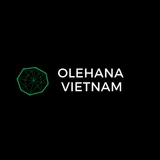 Olehana Vietnam icon