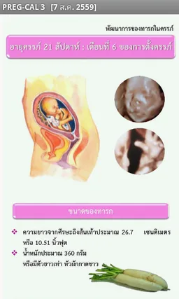 PREG-CAL สุขภาพสตรีตั้งครรภ์ screenshot 1