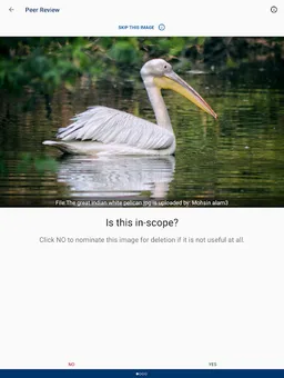 Wikimedia Commons screenshot 13