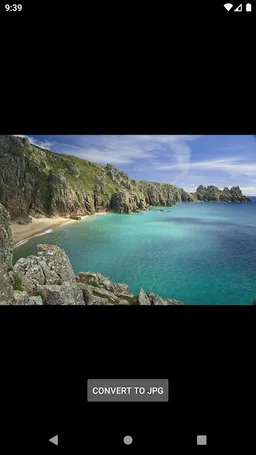 WebP Viewer & Converter screenshot 1