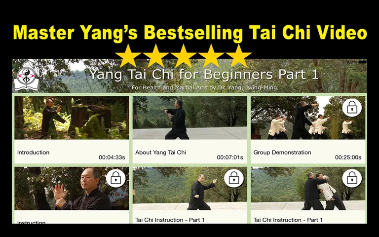 Yang Tai Chi for Beginners 1 b screenshot 6