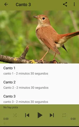 Nightingale Song screenshot 3