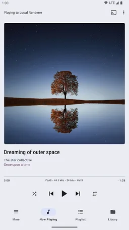 BubbleUPnP for DLNA/Chromecast screenshot 10