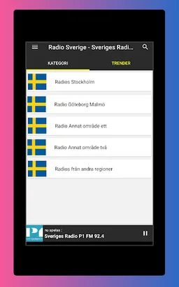 Radio Sweden FM - DAB Radio screenshot 8