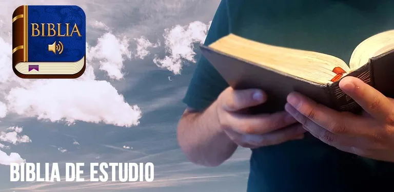 Biblia de estudio en español cover image