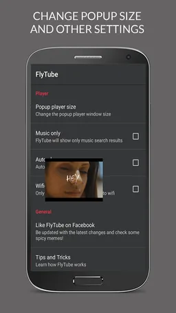 FlyTube Player For YouTube screenshot 8