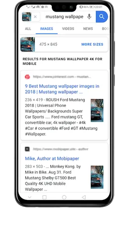 Image Source Finder: Reverse image search screenshot 5