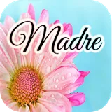 Feliz Día Mamá frases icon