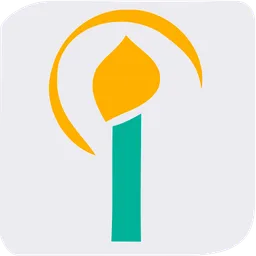 iZIDOOR icon