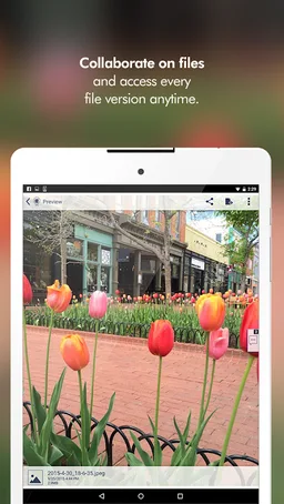 Teamplace screenshot 7