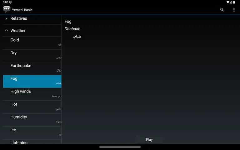 Yemeni Arabic Basic Phrases screenshot 20