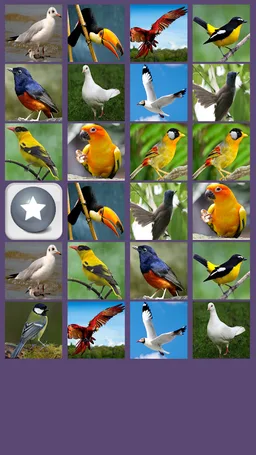 Birds Memory Game screenshot 2