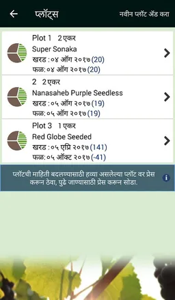 Grape Mundo (grape mundo) screenshot 3