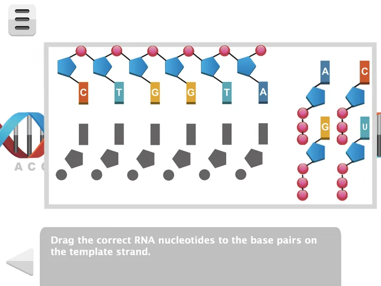 Biology Molecular Genetics L screenshot 14