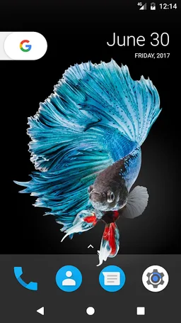 Betta Fish HD Wallpapers screenshot 1