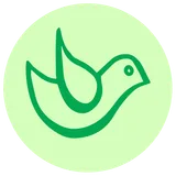 Creative Outdoor games ideas icon