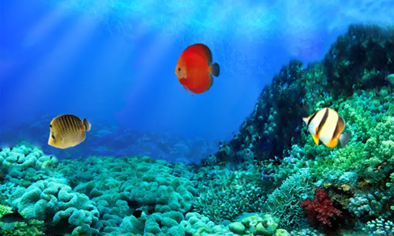 Crazy Fishing Joy screenshot 23