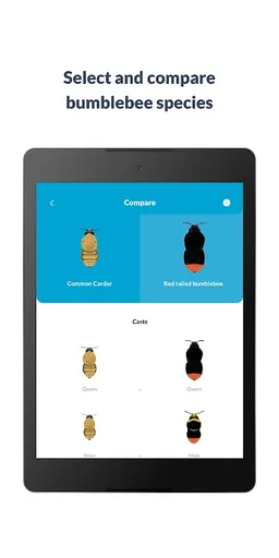 What’s that bumblebee screenshot 4