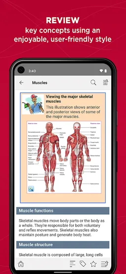 Anatomy & Physiology Made Easy screenshot 10