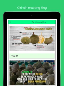Durian: IOI Musang King screenshot 6