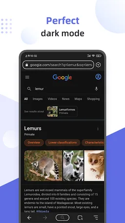 Lemur Browser - Extensions screenshot 1