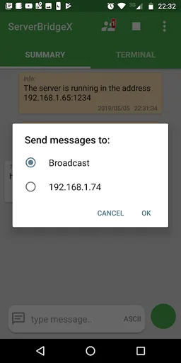 Server Bridge X (TCP Server) screenshot 5