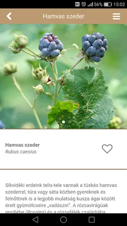 Fa Book interaktív fahatározó screenshot 13