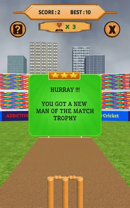 Bowled 3D - Cricket Game screenshot 13