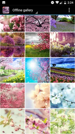 Sakura Wallpaper screenshot 1