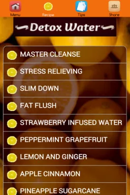 Detox Water Recipes screenshot 2