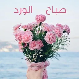 صور صباح الخير screenshot 4
