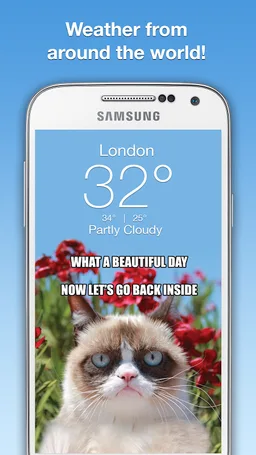 Grumpy Cat Weather screenshot 5