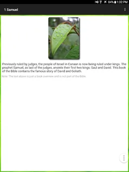 Pinoy Tagalog Bible screenshot 9