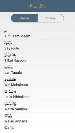 Listen Quran screenshot 5