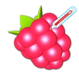 RasPi Check icon