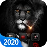 Lion in Costume Theme icon