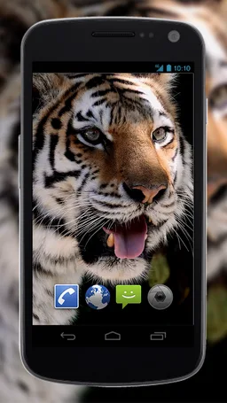 4K MightyTiger Video Live Wallpaper screenshot 3