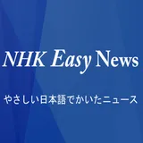 NHK Easy - Japanese Easy Level icon