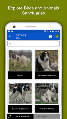 Romania Travel & Explore, Offl screenshot 1