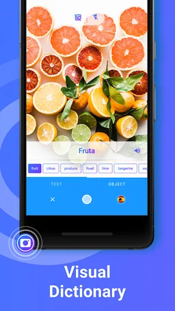 iTranslate Translator & Dictionary screenshot 6