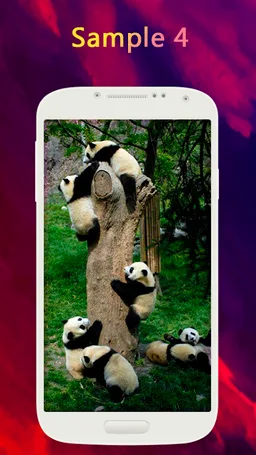 Panda Wallpaper screenshot 7